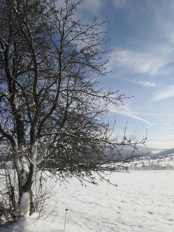 Gasthof-Pension-Kraus Achslach Eksteriør billede